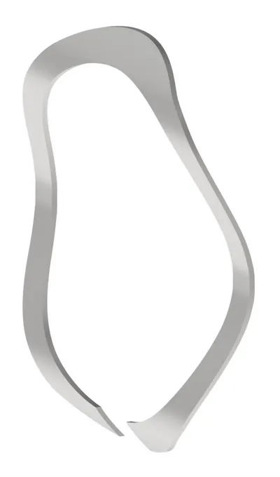 Snap Ring