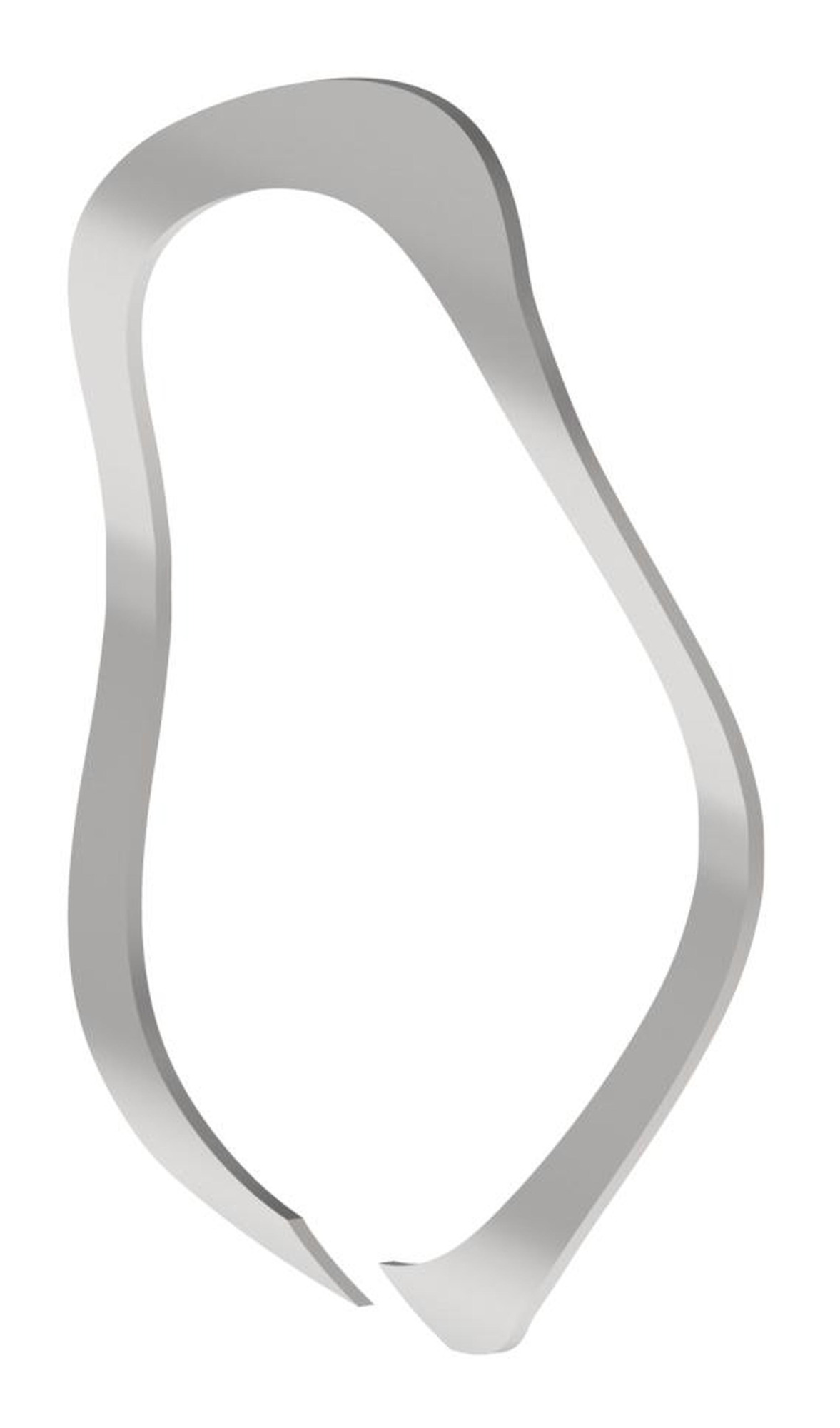 Snap Ring