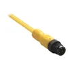 Rockwell Automation / Allen-Bradley 889D-F4ACDM-0M3 – 889 DC Micro Cable — photo 1 of 2 Rockwell Automation / Allen-Bradley 889D-F4ACDM-0M3 – 889 DC Micro Cable — photo 1 of 2