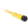 Rockwell Automation / Allen-Bradley 889D-F5AC-15 – 889 DC Micro Cable — photo 1 of 2 Rockwell Automation / Allen-Bradley 889D-F5AC-15 – 889 DC Micro Cable — photo 1 of 2