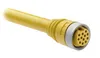 Rockwell Automation / Allen-Bradley 889N-F4AENM-2 – 889 Mini Cable — photo 2 of 2 Rockwell Automation / Allen-Bradley 889N-F4AENM-2 – 889 Mini Cable — photo 2 of 2