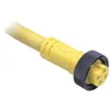 Rockwell Automation / Allen-Bradley 889N-R4GENU-6F – 889 Mini Cable — photo 1 of 2 Rockwell Automation / Allen-Bradley 889N-R4GENU-6F – 889 Mini Cable — photo 1 of 2