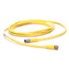 Rockwell Automation / Allen-Bradley 889P-F3ABPM-0M3 – 889 Pico Cable — photo 1 of 2 Rockwell Automation / Allen-Bradley 889P-F3ABPM-0M3 – 889 Pico Cable — photo 1 of 2