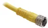 Rockwell Automation / Allen-Bradley 889P-F3ABPM-3 – 889 Pico Cable — photo 2 of 2 Rockwell Automation / Allen-Bradley 889P-F3ABPM-3 – 889 Pico Cable — photo 2 of 2