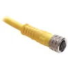 Rockwell Automation / Allen-Bradley 889P-F3UBPE-2 – 889 Pico Cable — photo 1 of 2 Rockwell Automation / Allen-Bradley 889P-F3UBPE-2 – 889 Pico Cable — photo 1 of 2