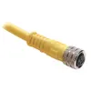 Rockwell Automation / Allen-Bradley 889P-F4ABDM-2 – 889 Pico Cable — photo 1 of 2 Rockwell Automation / Allen-Bradley 889P-F4ABDM-2 – 889 Pico Cable — photo 1 of 2
