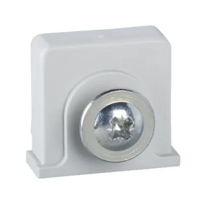 Schneider Electric NSYTCSPLM – Plastic nut and self taping screw placed in the notches of PLM for DIN rail