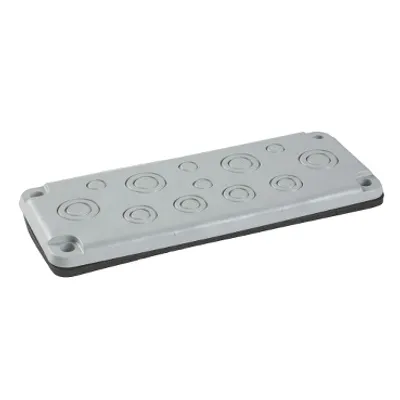 Schneider Electric NSYTSAKFL – Membrane for cable entrance FL21 with 12 entrances IP65