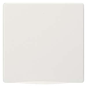 Siemens 5TG1340-1 – DELTA style, platinum metallic cover plate 68 x 68 mm with spring flap — photo 1 of 2