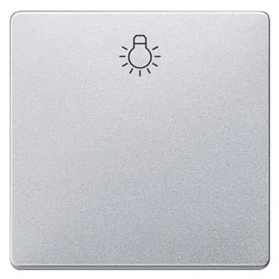 Siemens 5TG6201-0AM20 – DELTA i-system aluminum-metallic Rocker switch with symbol light for pushbutton, 55x55mm