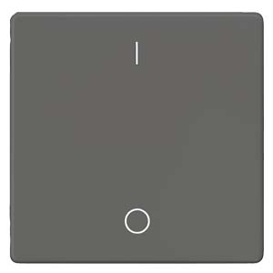 Siemens 5TG6222 – DELTA i-system carbon metallic Rocker switch with symbols I/O for OFF switch 2-pole, 3-pole 55x 55 mm — photo 1 of 3