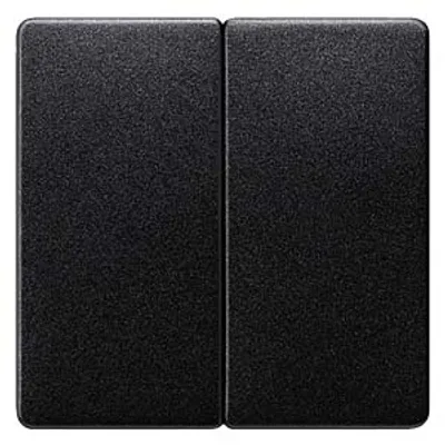 Siemens 5TG6225 – DELTA i-system carbon metallic Rocker switch for Series/double two-way switch for double pushbutton, 55x 55 mm