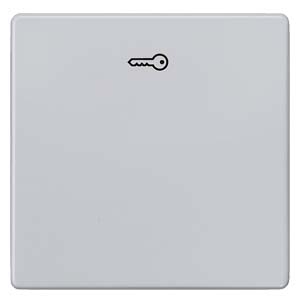 Siemens 5TG6248 – DELTA i-system aluminum-metallic Rocker switch with door opener symbol for pushbutton, 55x 55 mm — photo 1 of 3