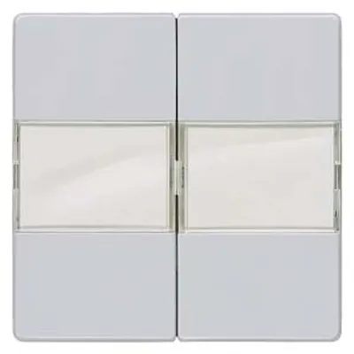 Siemens 5TG6252 – DELTA i-system aluminum-metallic Rocker switch with label for series/double two-way switch 55x 55 mm