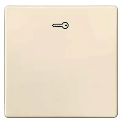Siemens 5TG6278 – DELTA i-system electrical white Rocker switch with door opener symbol for pushbutton, 55x 55 mm