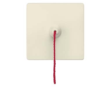 Siemens 5TG6287 – DELTA i-system Rocker switch with pull actuation for pushbutton Electrical white, 55x 55 mm — photo 1 of 3