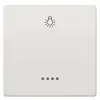 Siemens 5TG7146-1 – DELTA style, platinum metallic Rocker switch with window w. symbol Light for pushbutton, 68x 68 mm — photo 2 of 3