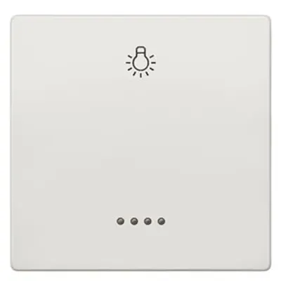 Siemens 5TG7146-1 – DELTA style, platinum metallic Rocker switch with window w. symbol Light for pushbutton, 68x 68 mm