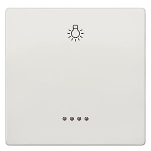 Siemens 5TG7146 – DELTA style, titanium white Rocker switch with window w. symbol Light for pushbutton, 68x 68 mm — photo 1 of 3