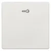 Siemens 5TG7148 – DELTA style, titanium white Rocker switch with door opener symbol for pushbutton, 68x 68 mm — photo 1 of 3