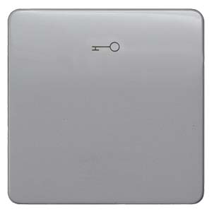 Siemens 5TG7928 – DELTA profil, silver Rocker switch with door opener symbol for pushbutton, 65x 65 mm — photo 1 of 3