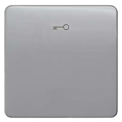 Siemens 5TG7928 – DELTA profil, silver Rocker switch with door opener symbol for pushbutton, 65x 65 mm