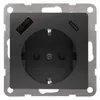 Siemens 5UB1970-1CM01 – DELTA i-system carbon metallic USB-SCHUKO socket outlet 2 USB A+C Power: Up to 18W — photo 1 of 3