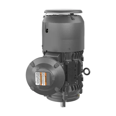ABB 1MB21212AA116LG3 – MOTOR,7.5,3600,XP100,230/460,213TCV ABB 1MB21212AA116LG3 – MOTOR,7.5,3600,XP100,230/460,213TCV