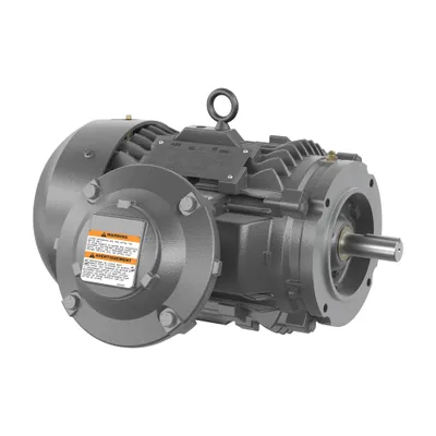 MOTOR,20,1800,XP100 ID1,230/460,256