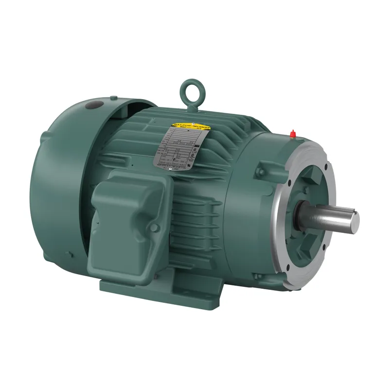 3HP,1165RPM,3PH,60HZ,213TC,0738M,TE — photo 1 of 3