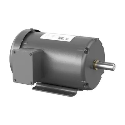 2HP,1800RPM,3PH,60HZ,145T,3524B,TEF
