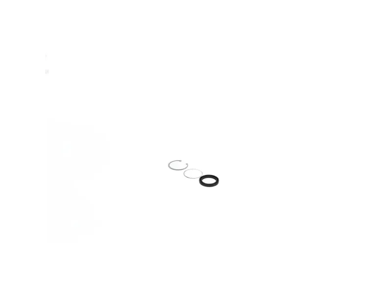 Sealing kit for inp. shaft TS170 w/o dl — photo 6 of 9