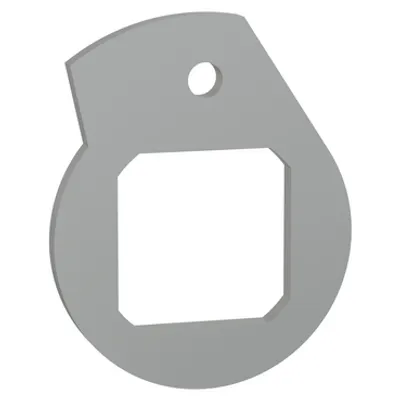 Schneider Electric 31087 – Keylocks for Profalux&Ronis, for ComPacT INS&INV100-250, Locking device