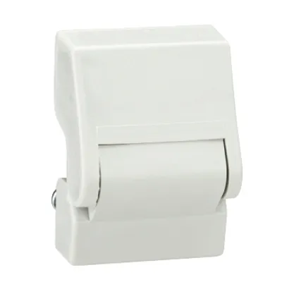 Schneider Electric NSYBE27G – Set of 2 plastic external hinges for PLS box